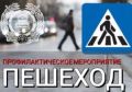 В Томском районе проходит профилактическое мероприятие «Пешеход»