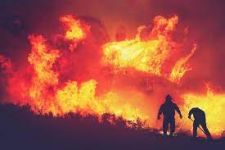 В Томском районе ожидается 5 класс пожароопасности