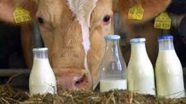 Уважаемые жители Богашевского сельского поселения приобретающие молоко